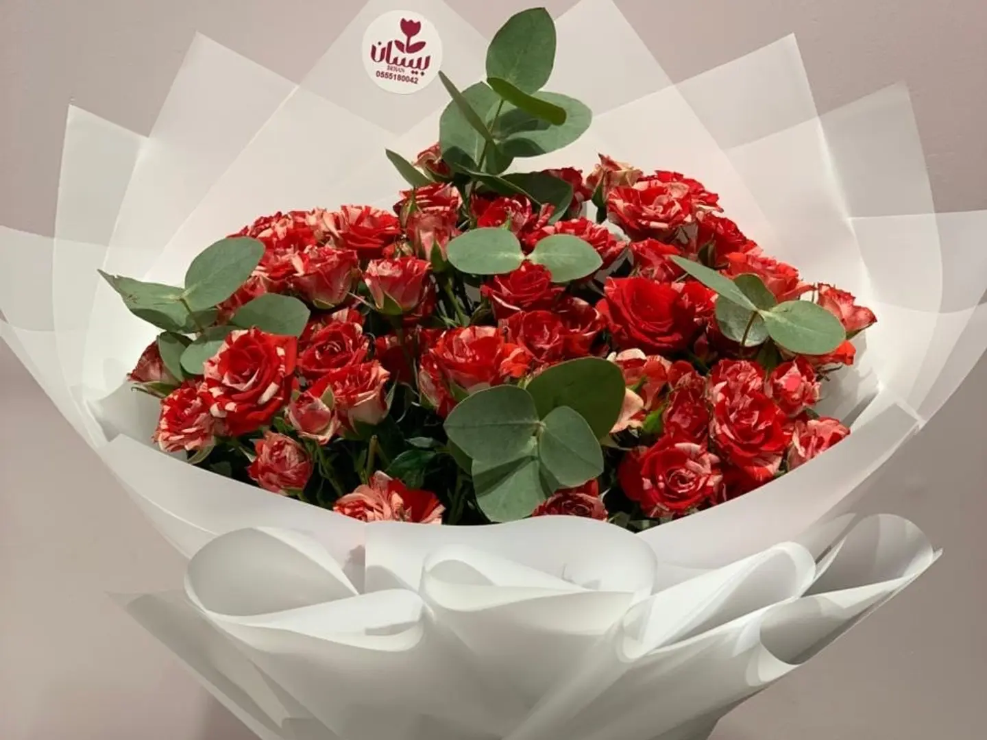 Baby Rose Double Color Red