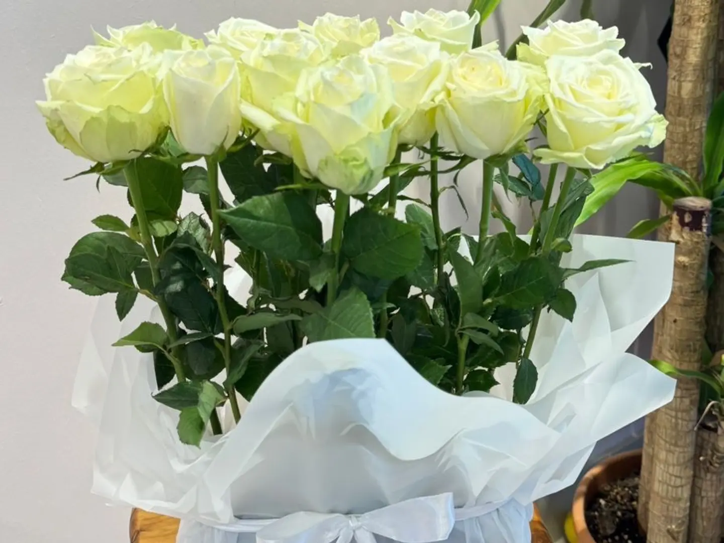 White Rose Distributions Decorated With A Base And White Packaging