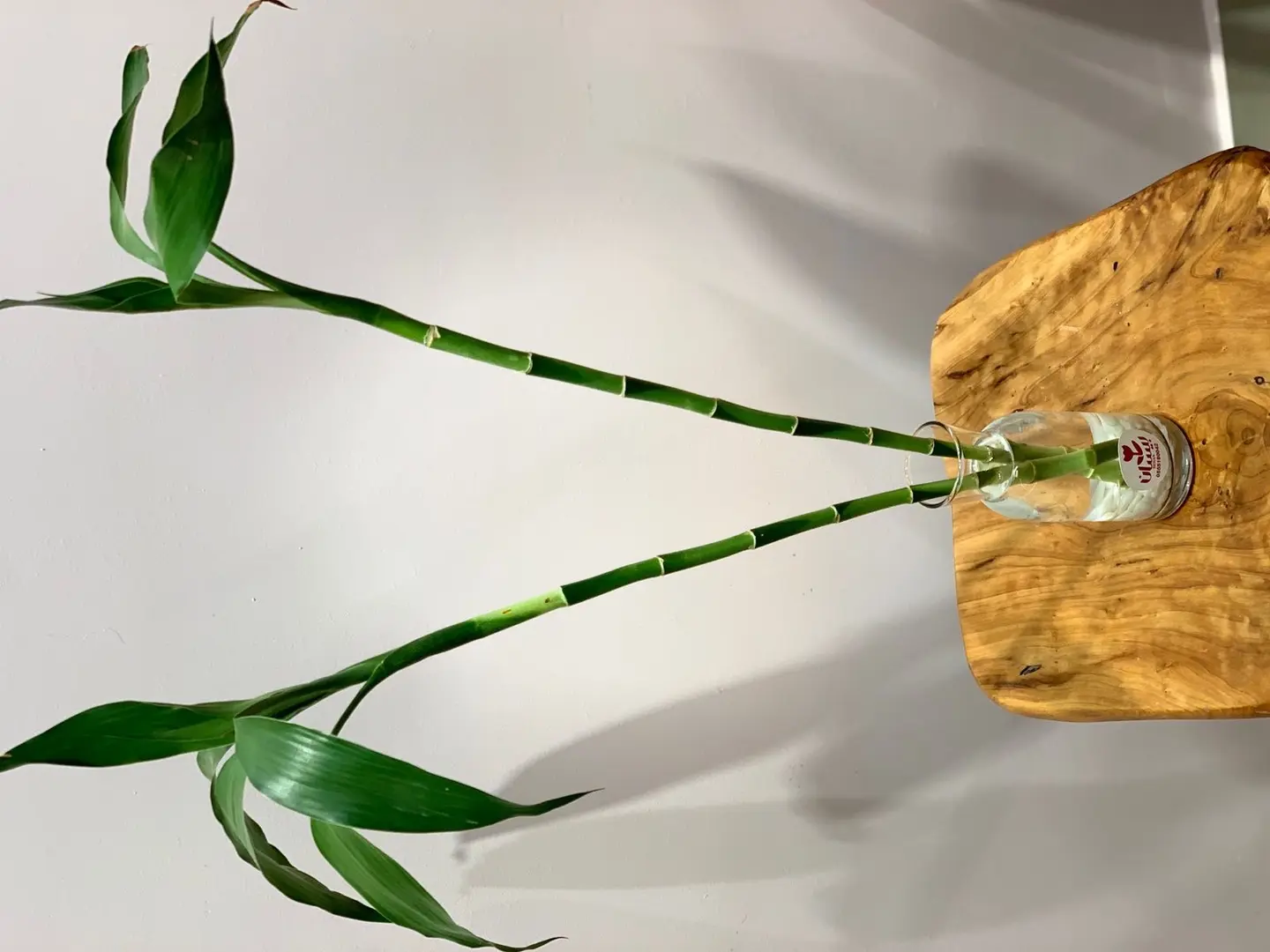 Vase And Two Bamboo Stalks