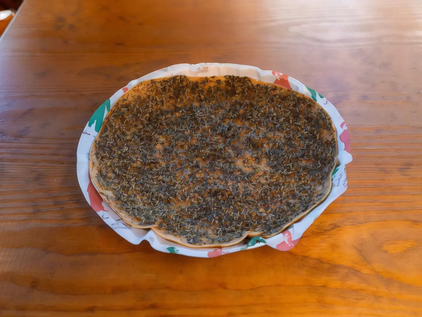 زعتر