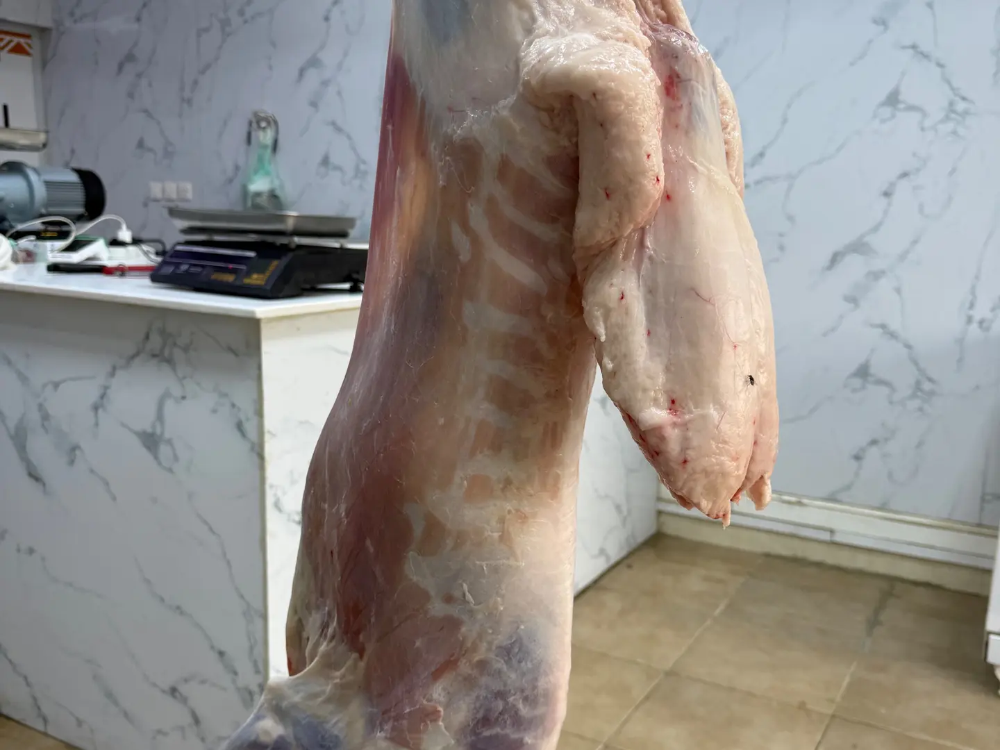 Fresh Local Lamb Meat Available By The Kilo