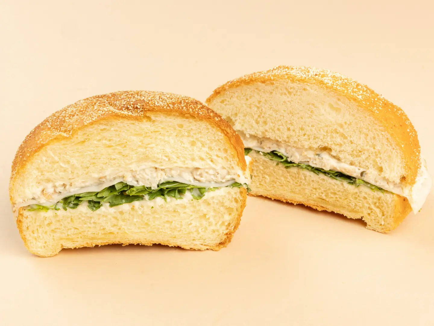 ساندوتش دجاج