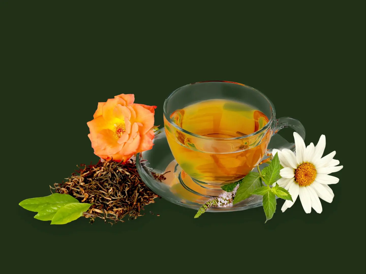 اعشاب يانسون بردقوش زهورات