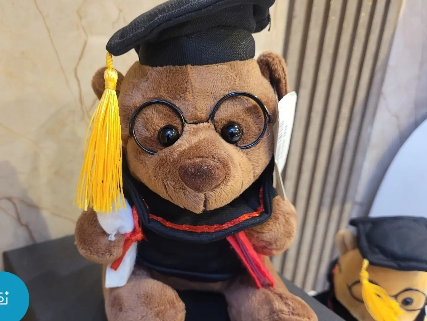 Brown Graduation Teddy