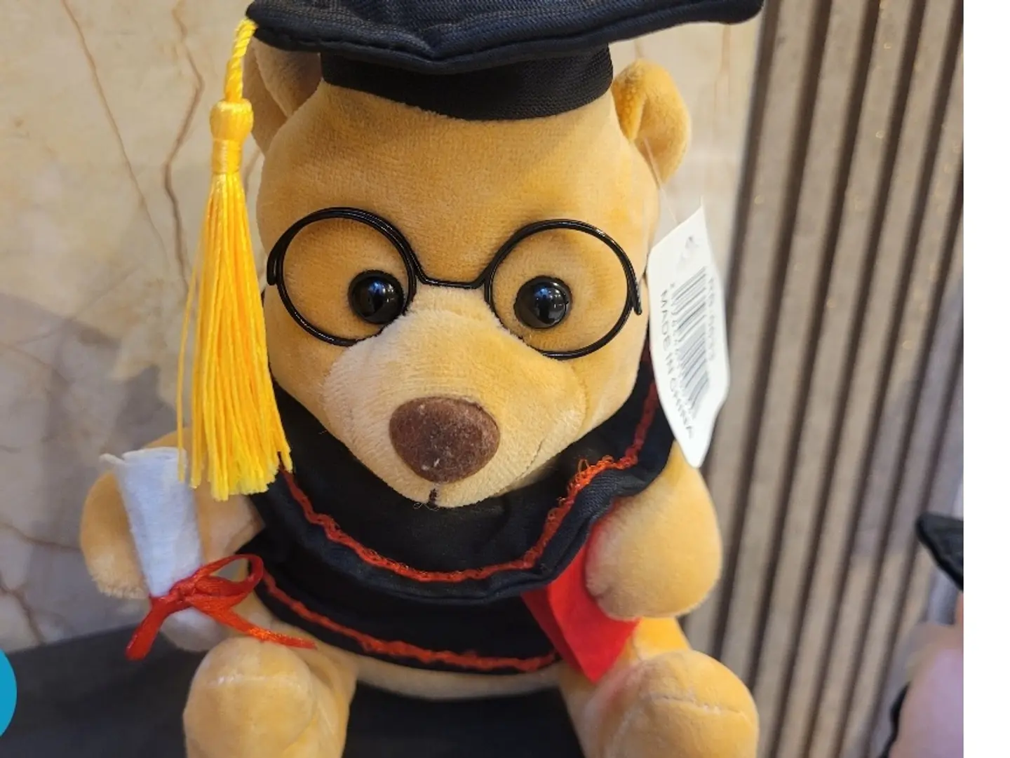 Big Graduation Teddy Bear