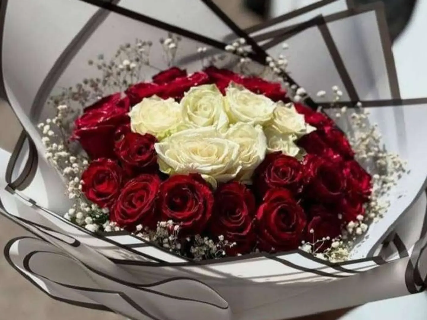 باقة من واحة الجمال