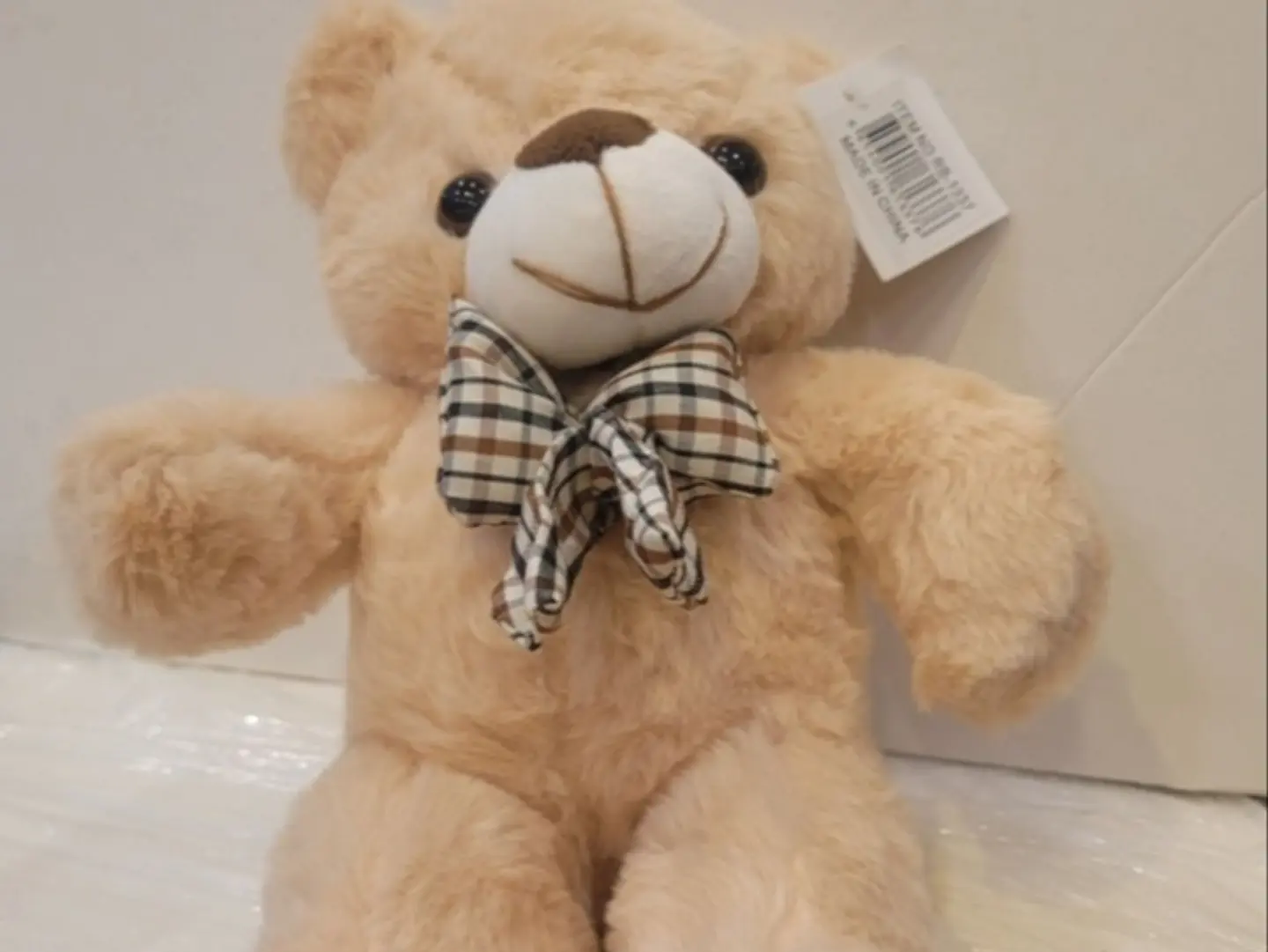 Big Teddy Bear With A Bow