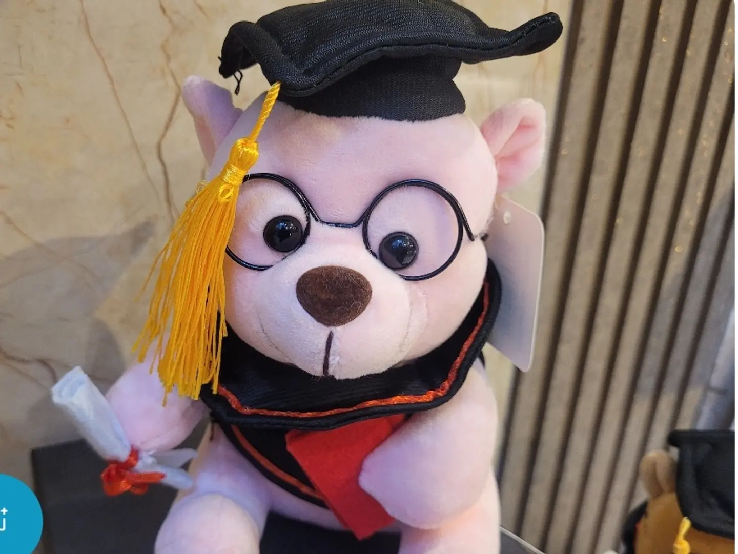 Pink Graduation Teddy