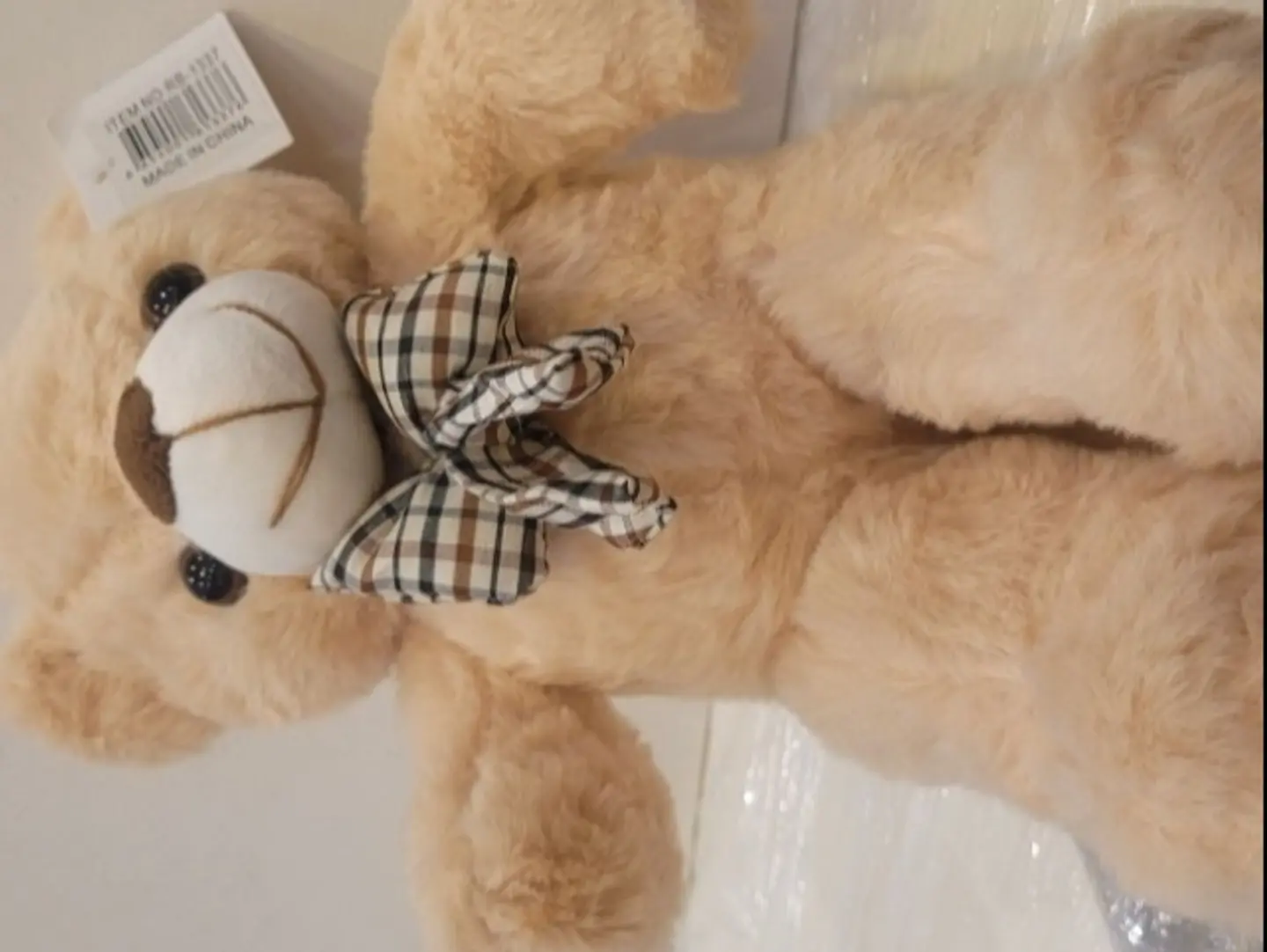 Big Teddy Bear With A Bow