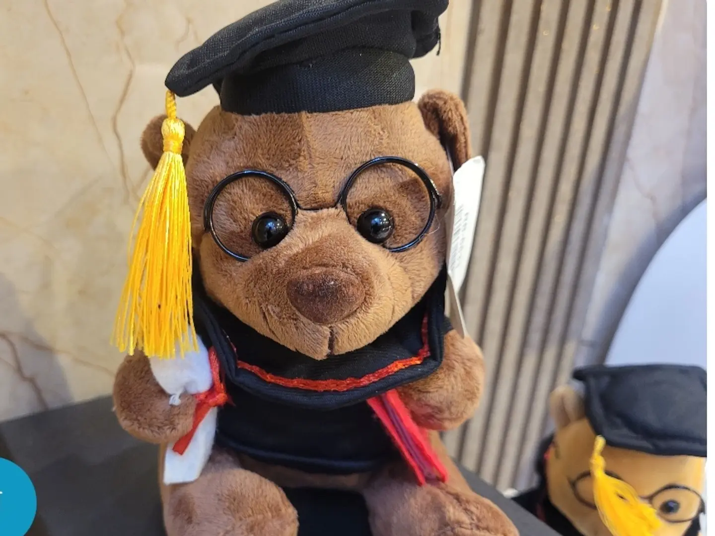 Brown Graduation Teddy