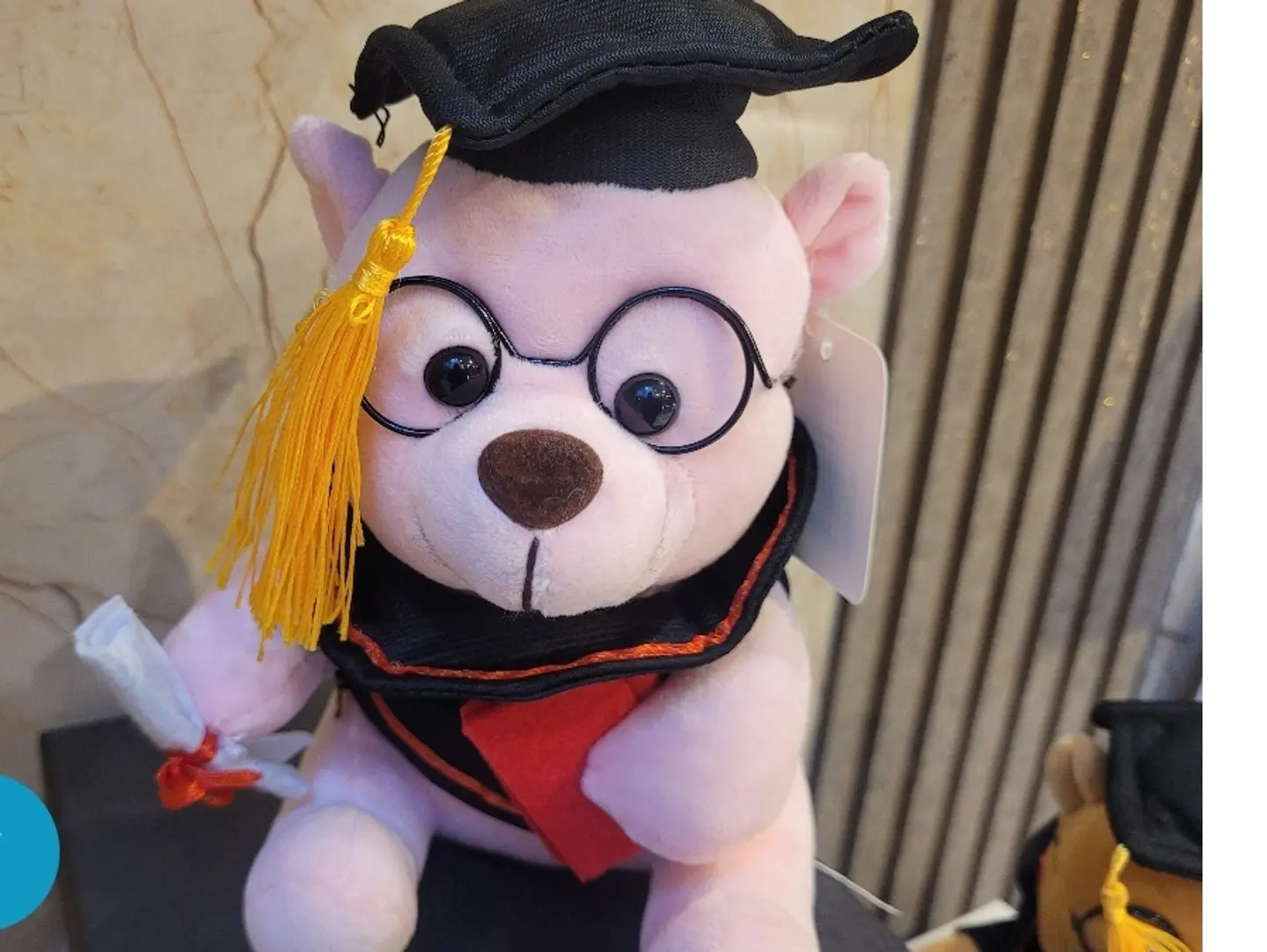 Pink Graduation Teddy