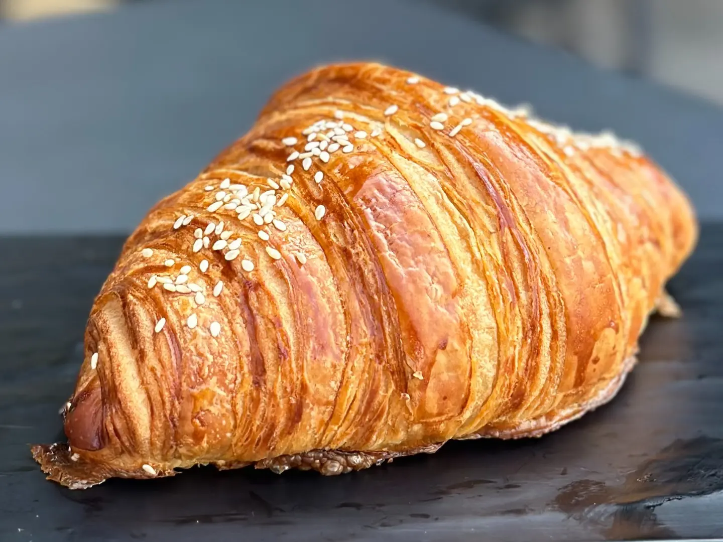 كرواسان سادة