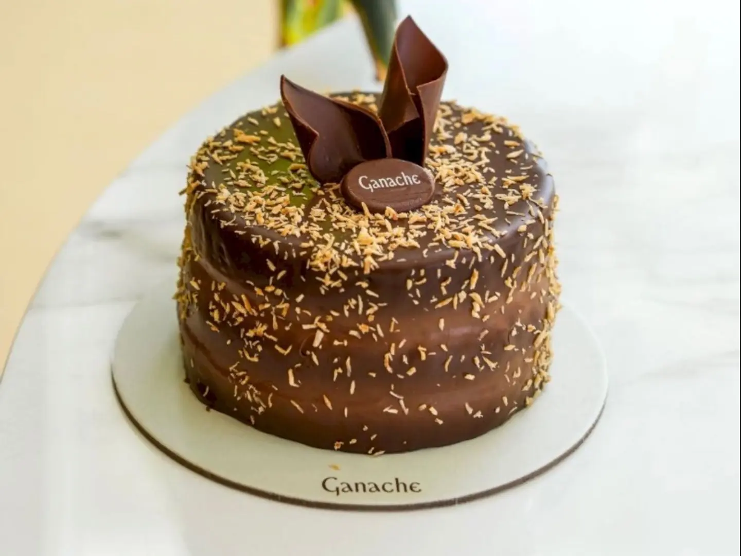 كيك شوكلت جناش