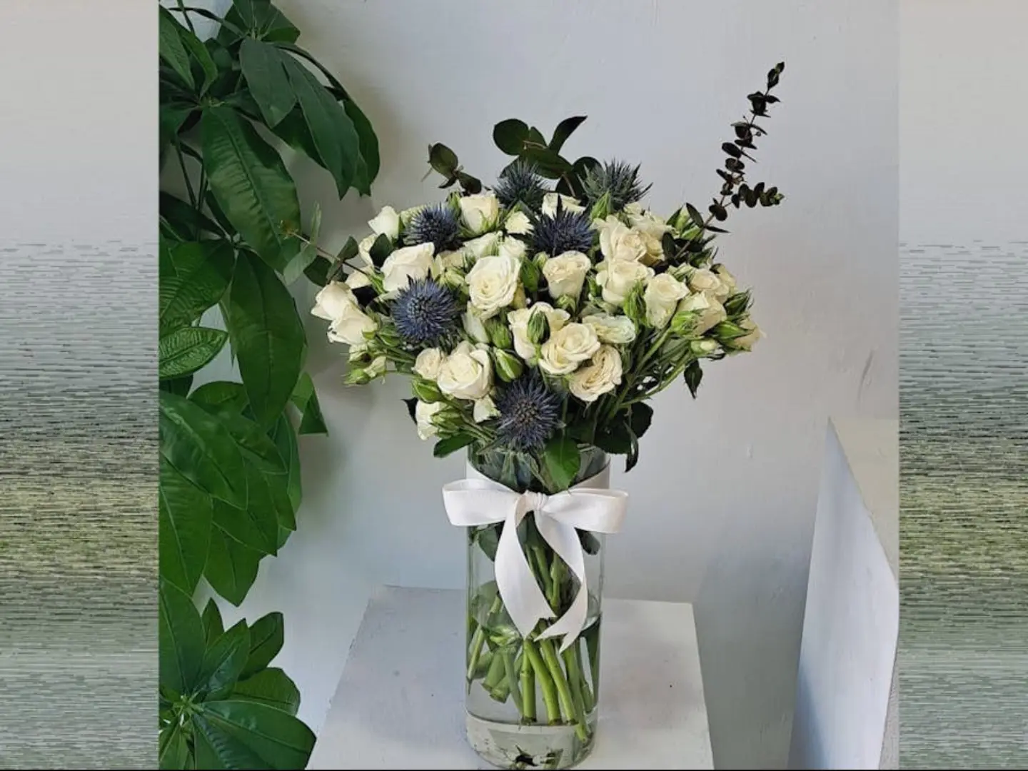 الفازة البيضاء