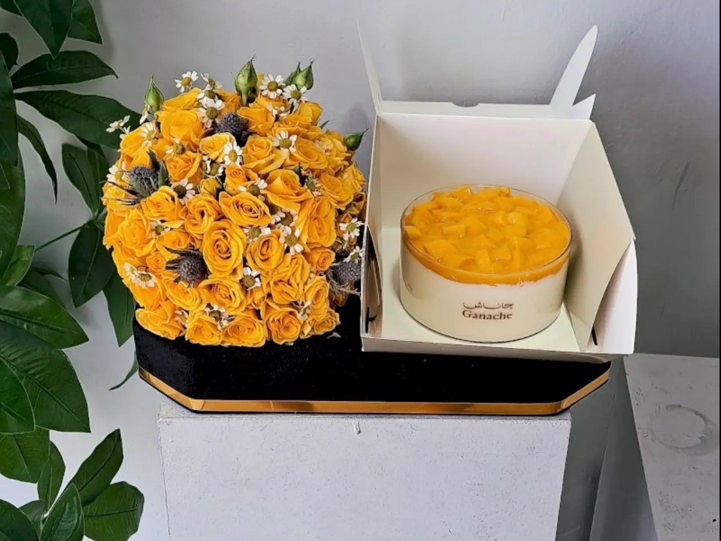 تنسيق كيك المنجو 0013