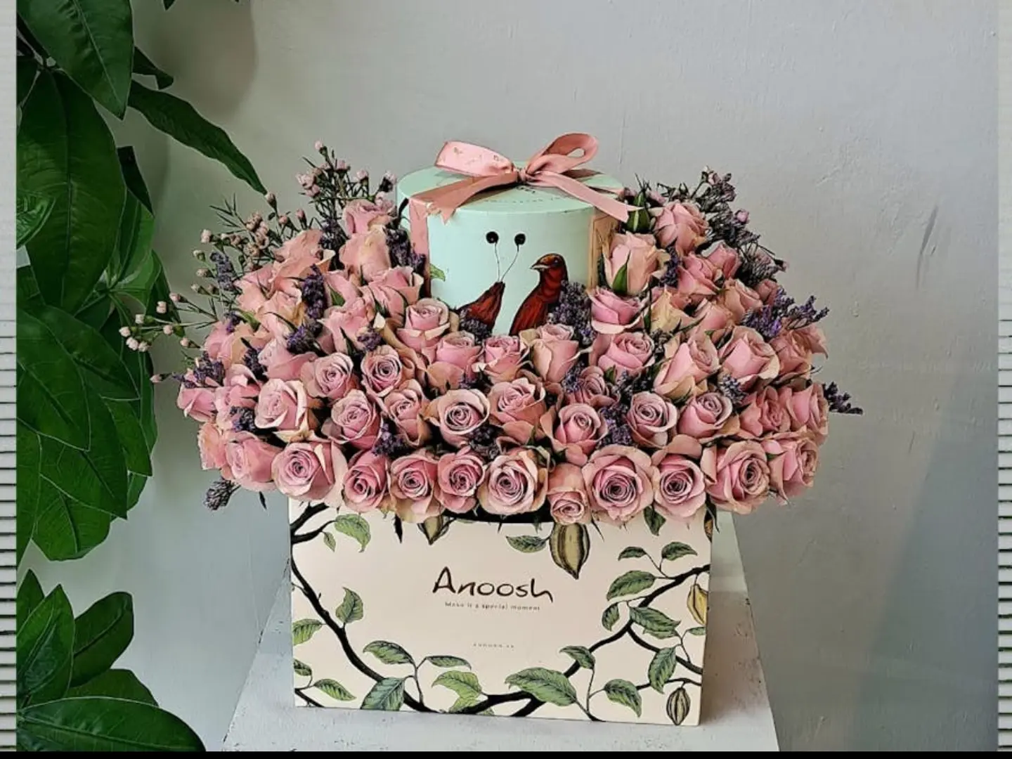 تنسيق شوكولاتة انوش 8