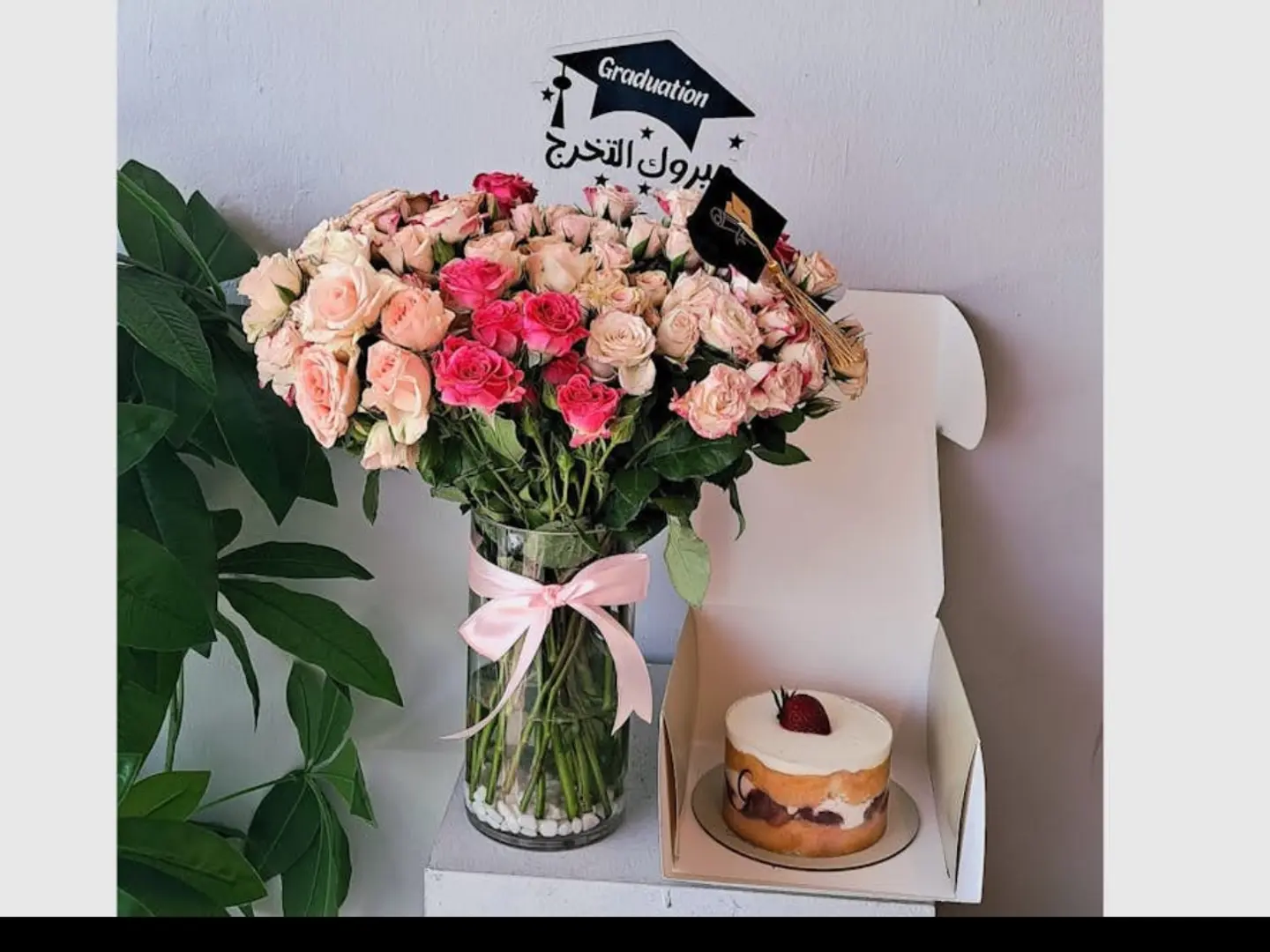 فازة وكيك التخرج 04