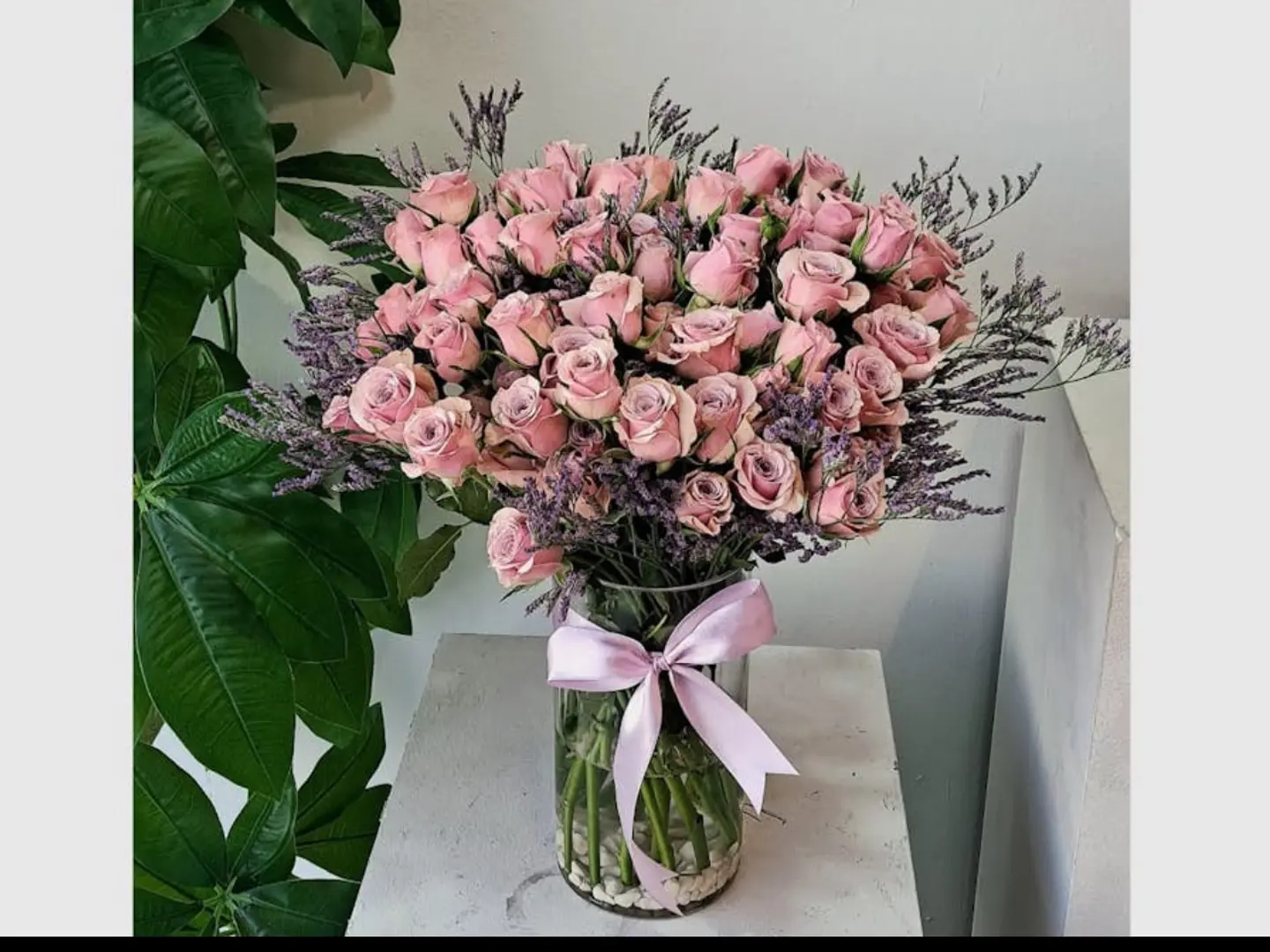 فازة الموف 04