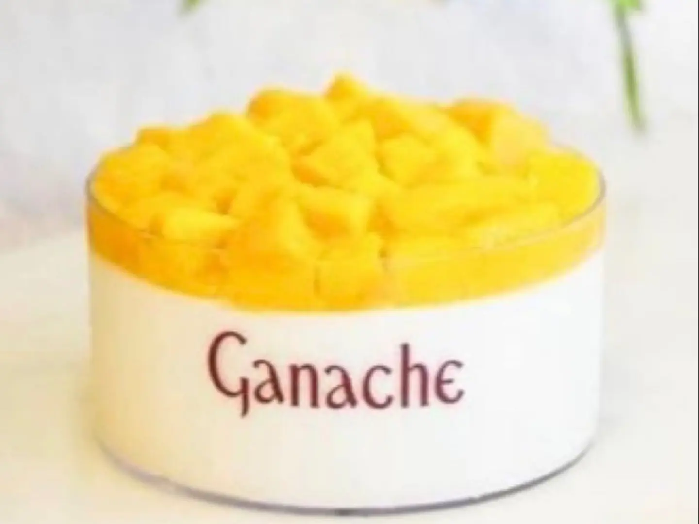 كيك المنجو جناش