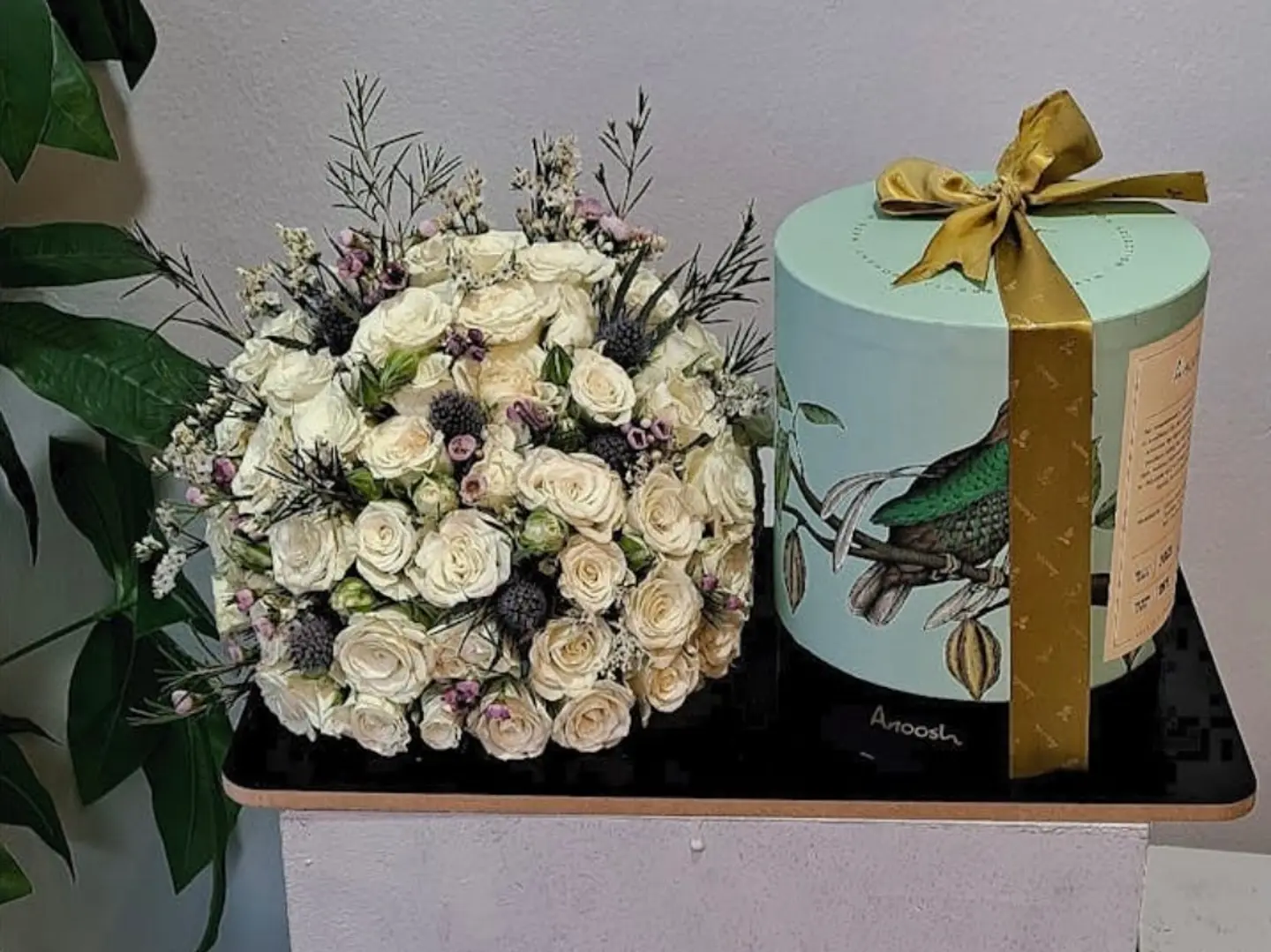 شوكلت انوش 6