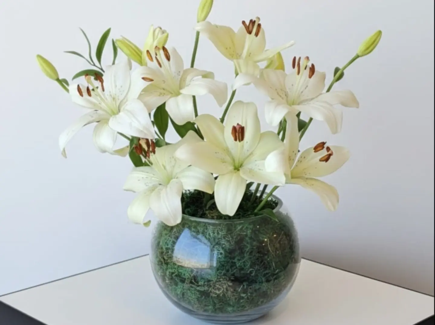 فازة الكازا بلانكه