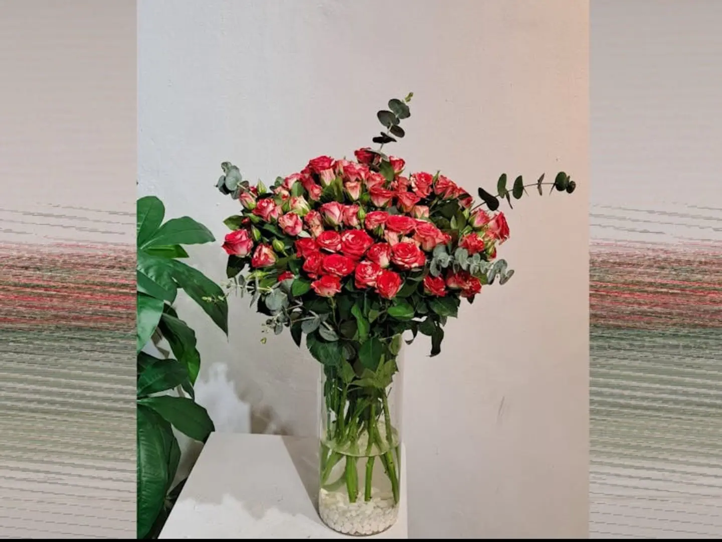 فازة الدبل كلر غامق 03