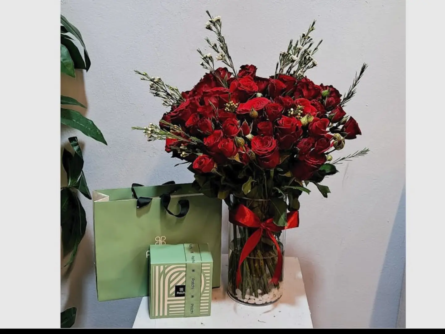 فازة باتشي 1