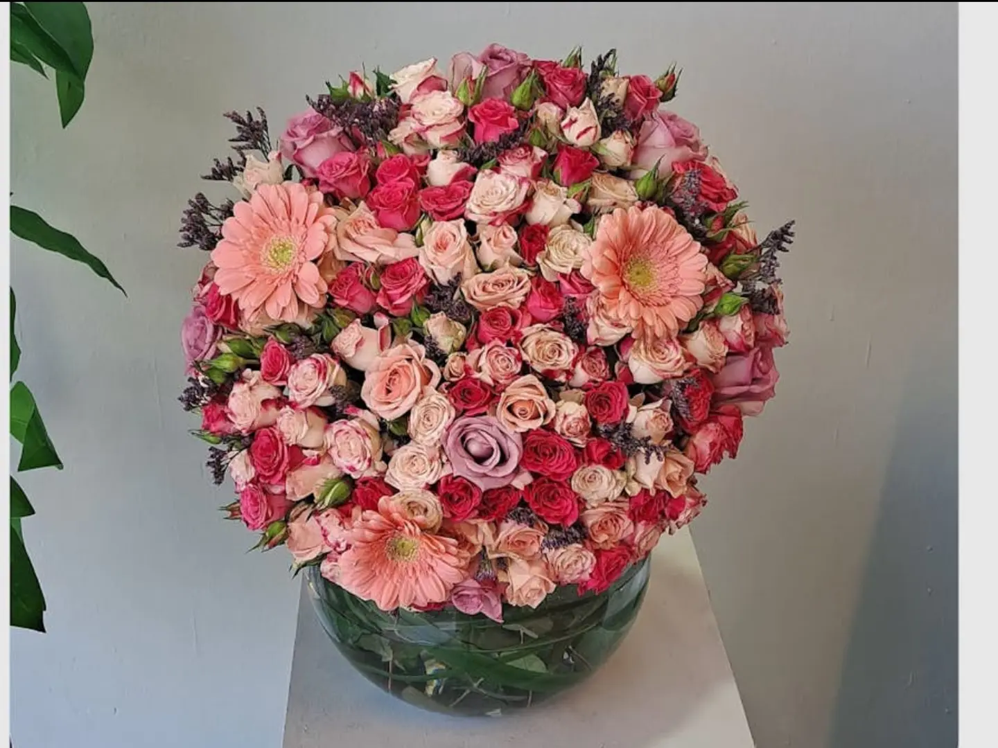 فازة مكس -حجم كبير 1