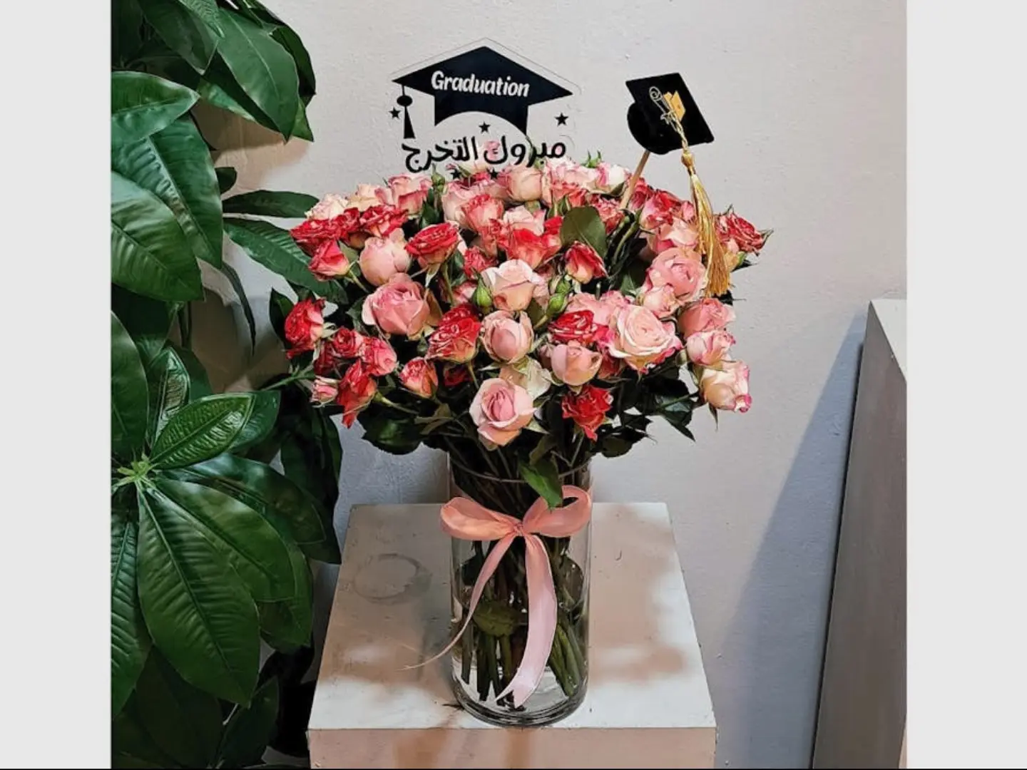 فازة التخرج 0011