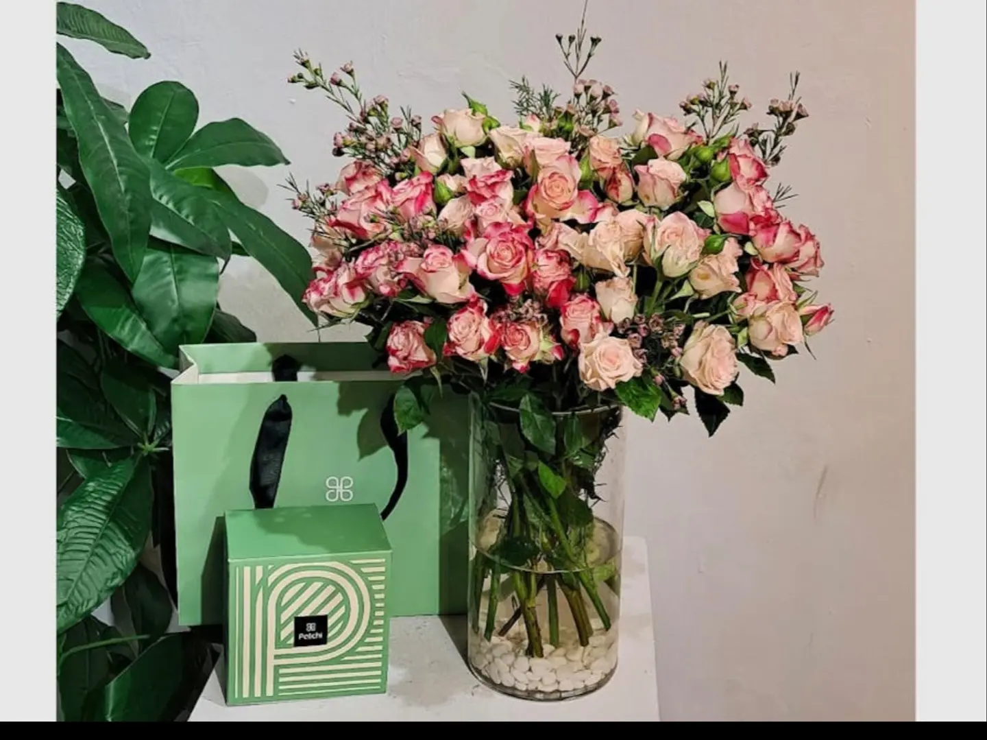 فازة باتشي 4