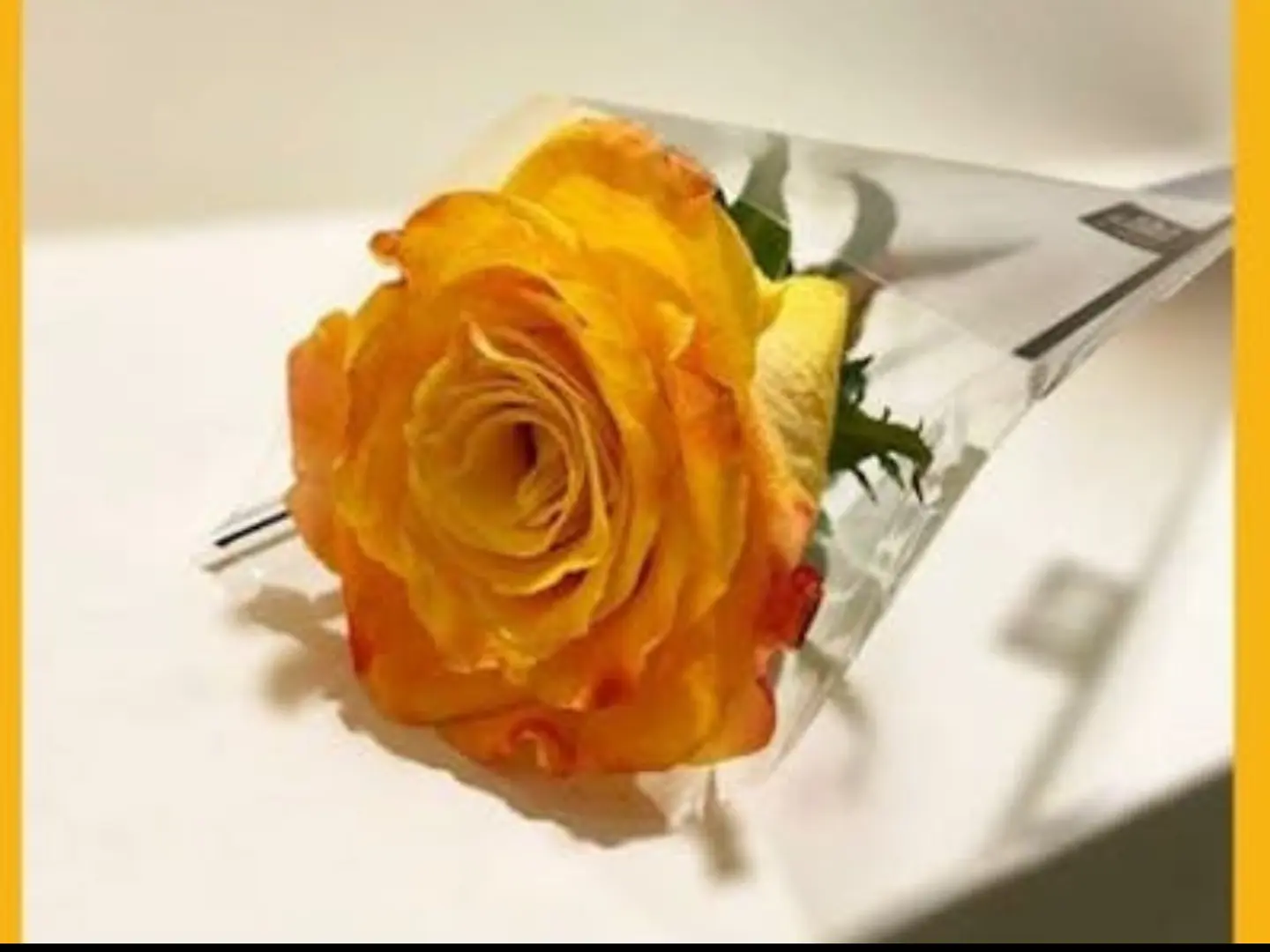 روز الاورنج