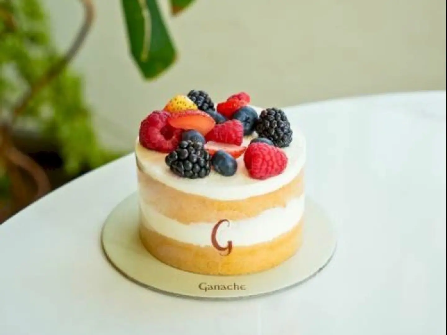 كيك التوت براند جناش