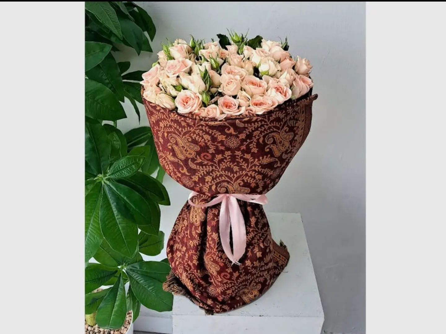 بوكيه الكشميري 027