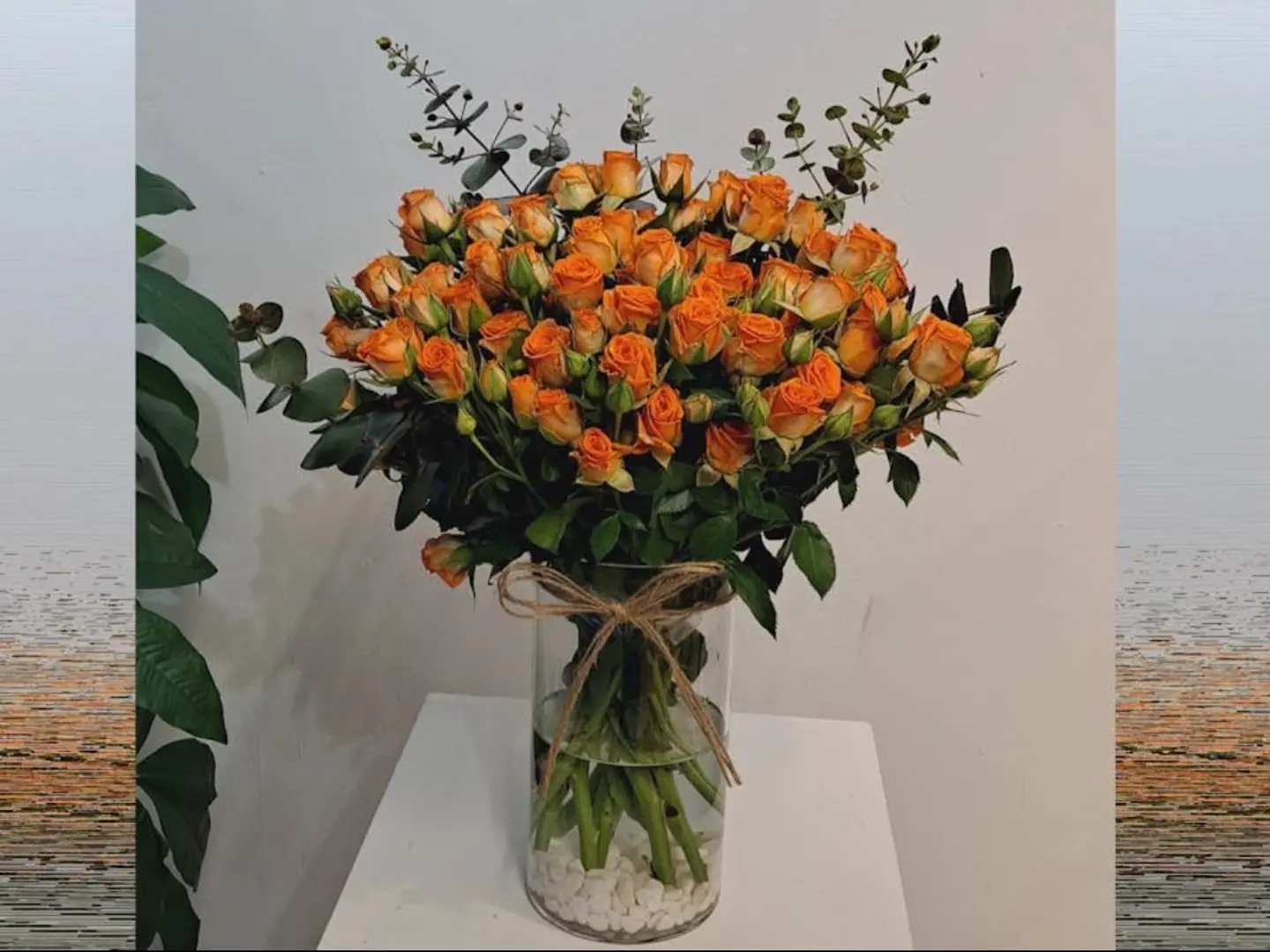 فازة الاورنج 01