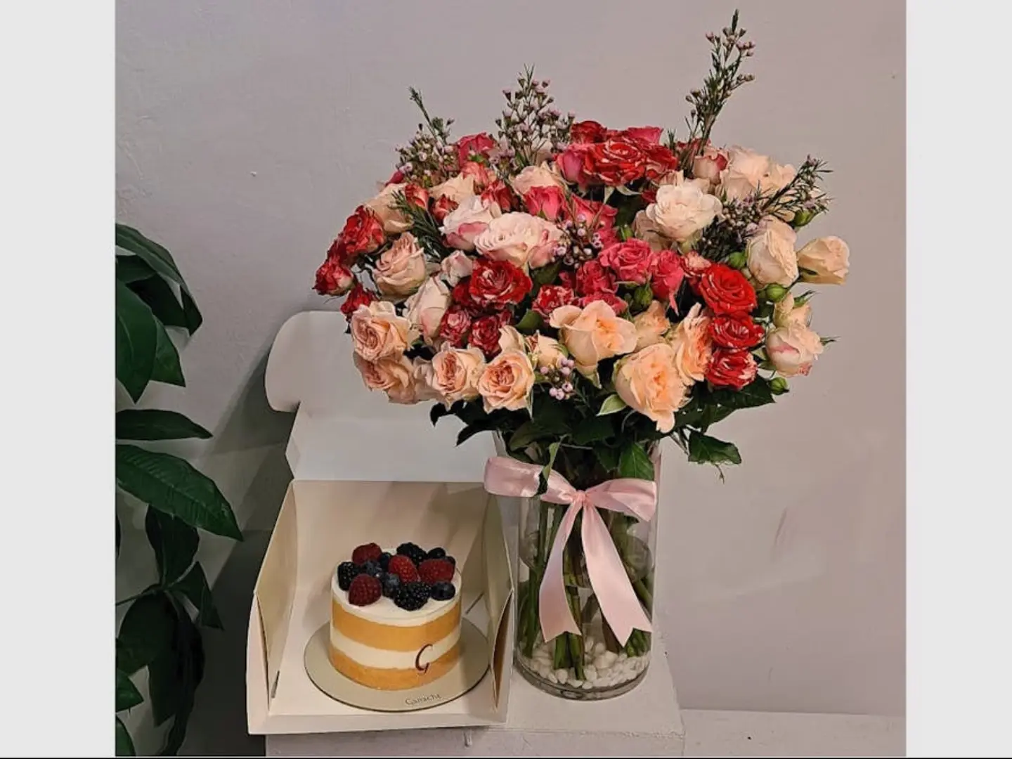 فازة وكيك التوت 05