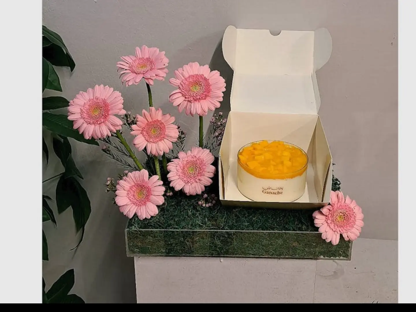 تنسيق كيك المنجو 007