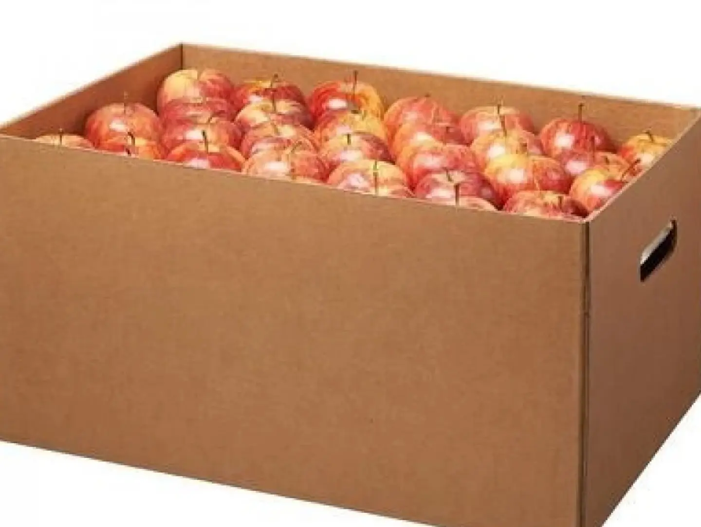 Large Carton Of Sweet Apples 18 Kg