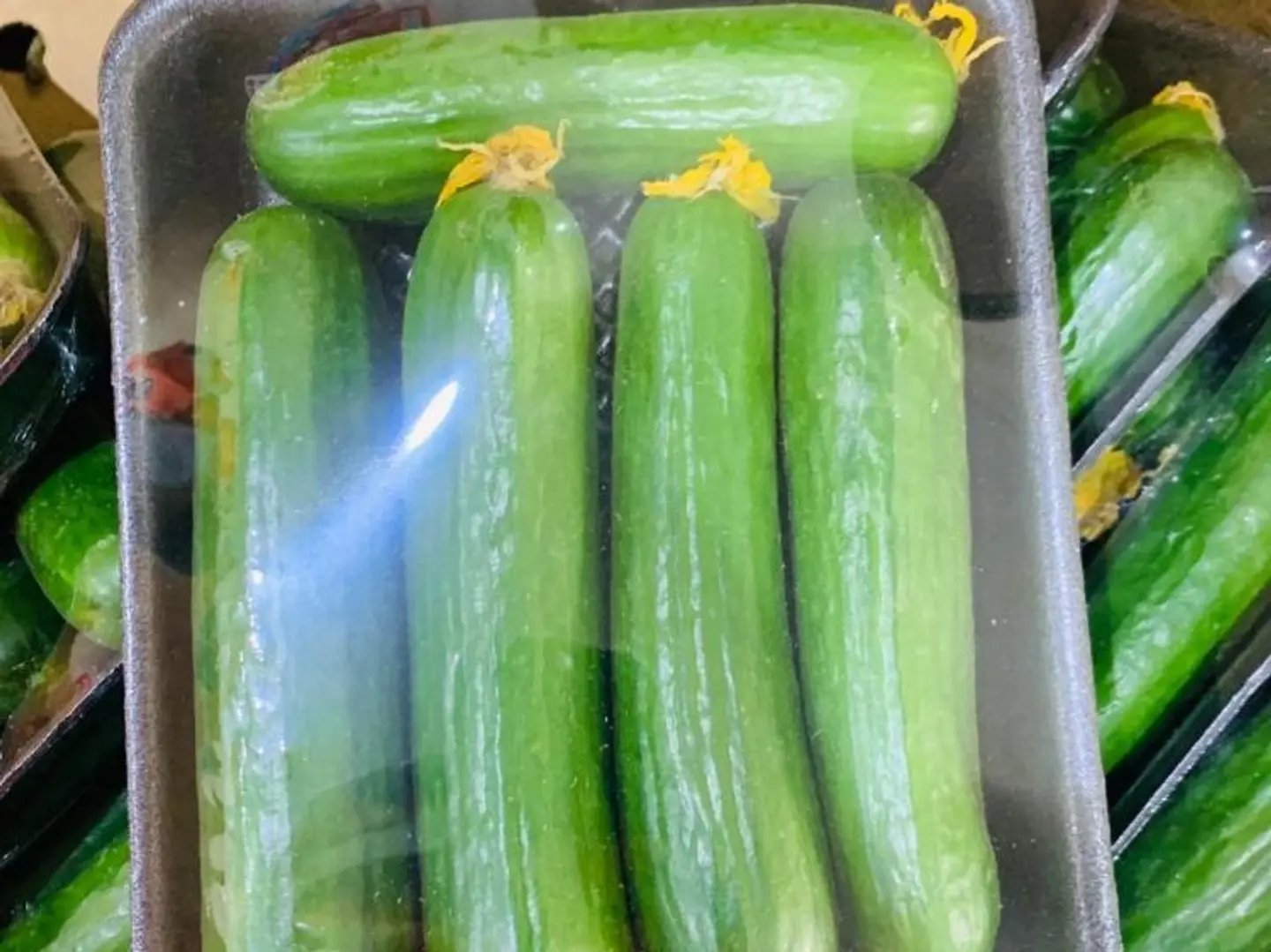 Cucumber Platter