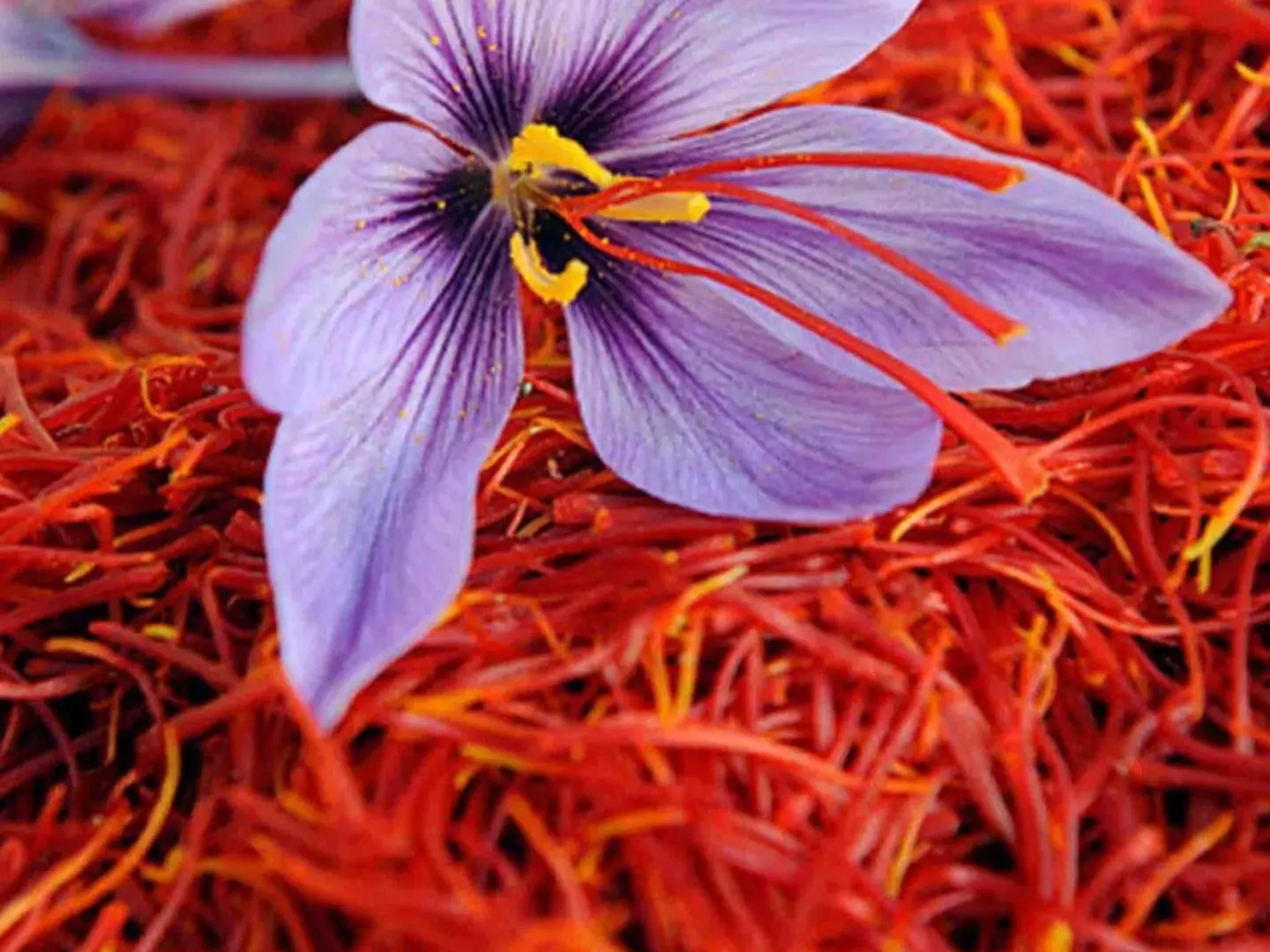Al Badr Super Saffron