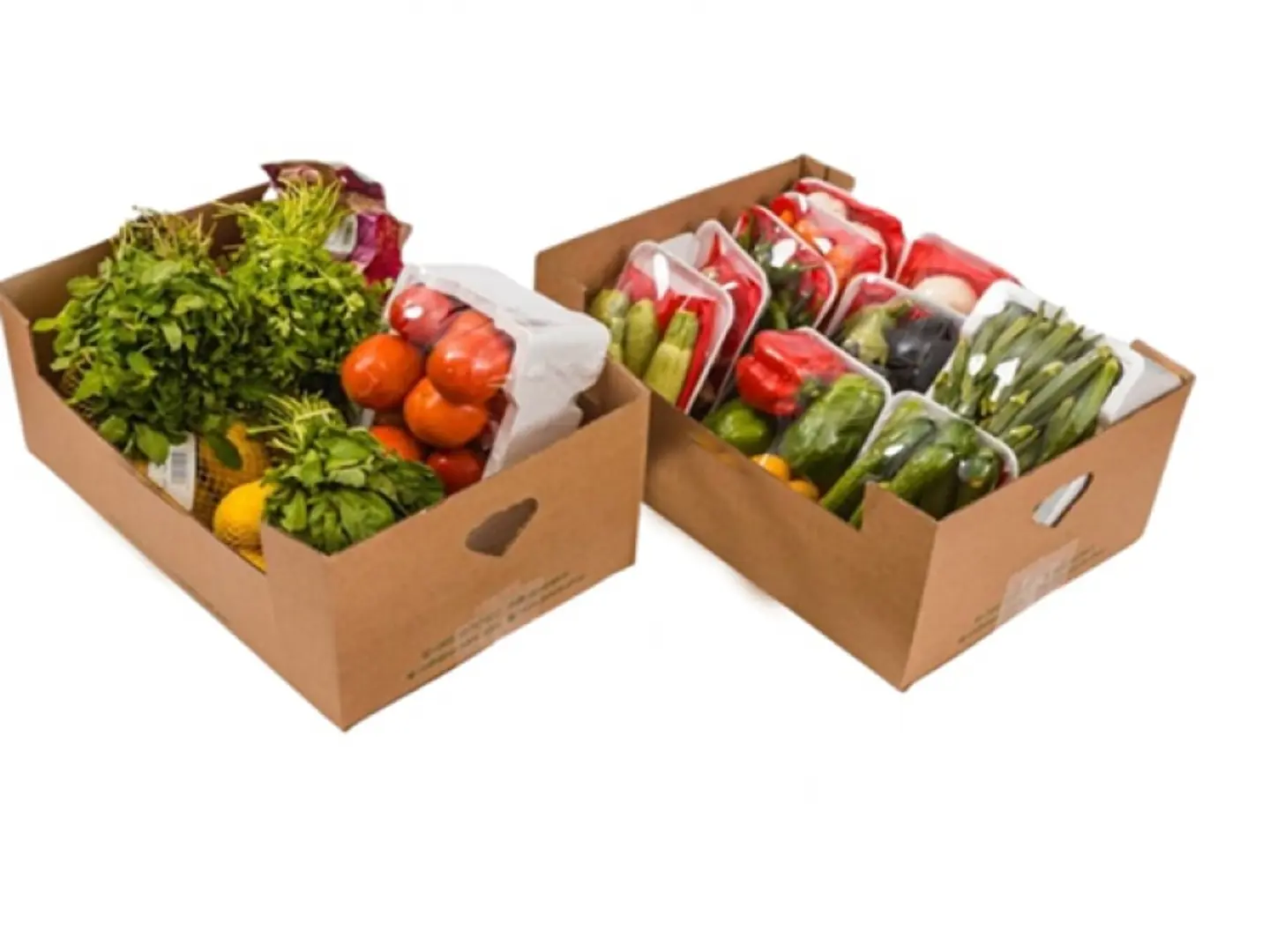 Vagtable Box