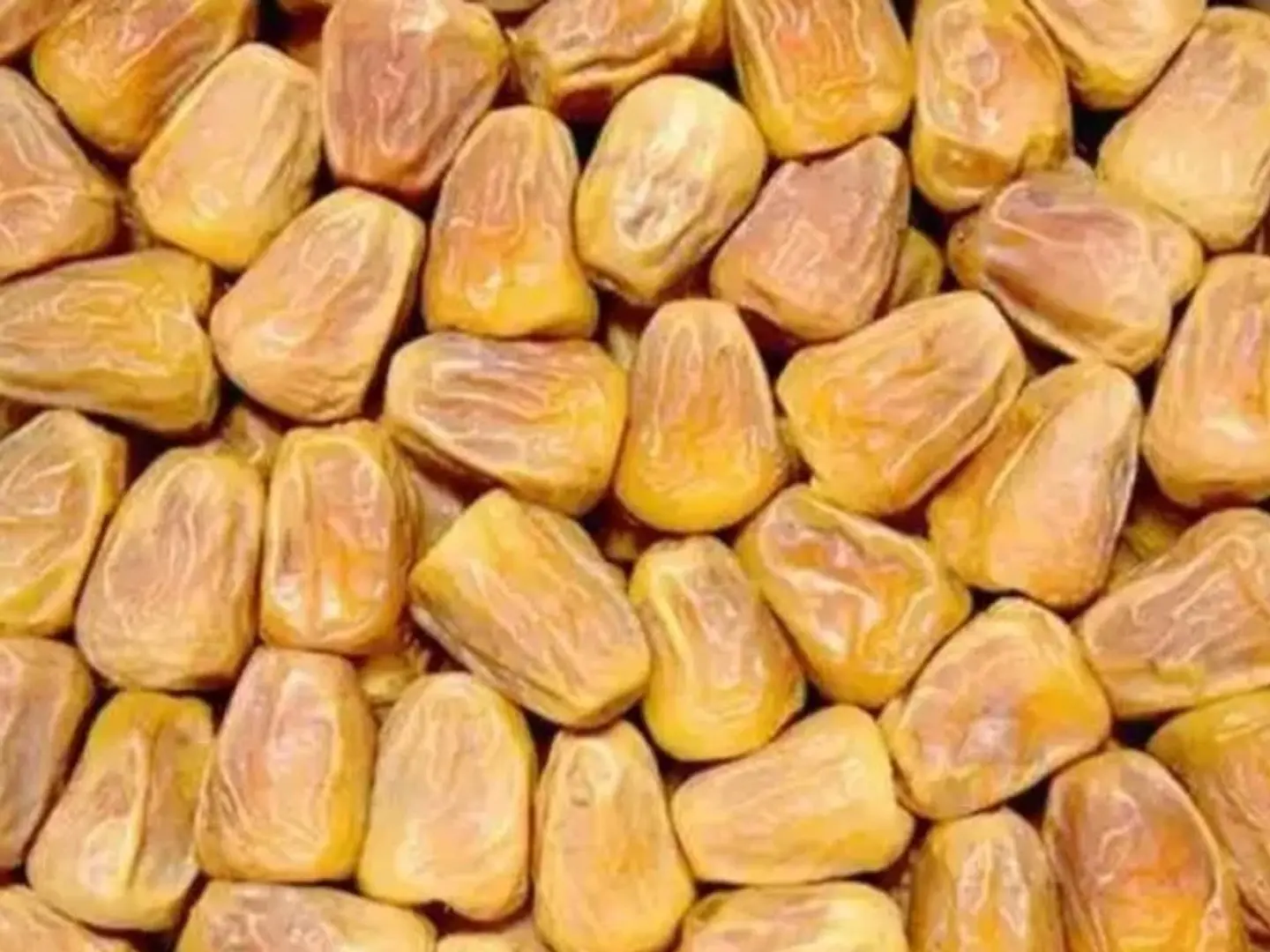 Sukari Dates