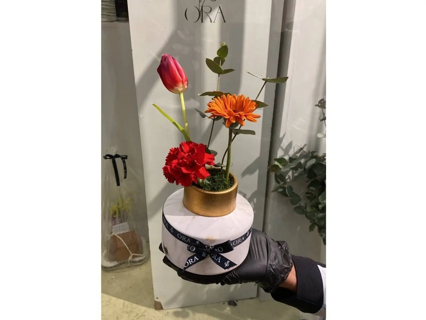 فازة مكس كلاسيك