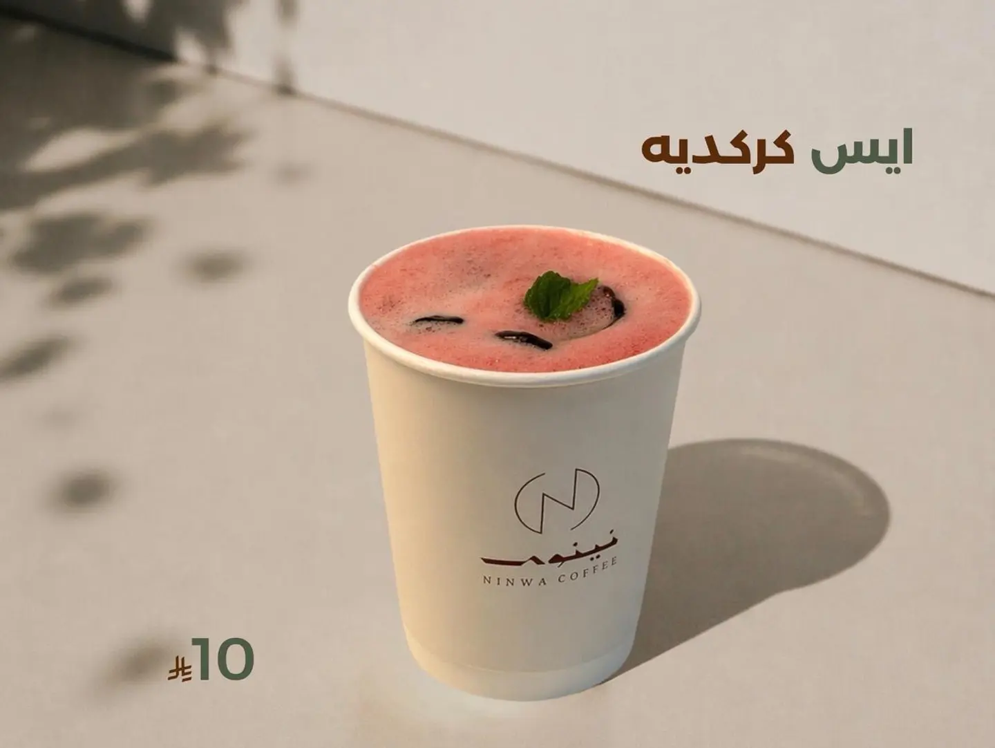 ايس تي كركدية .