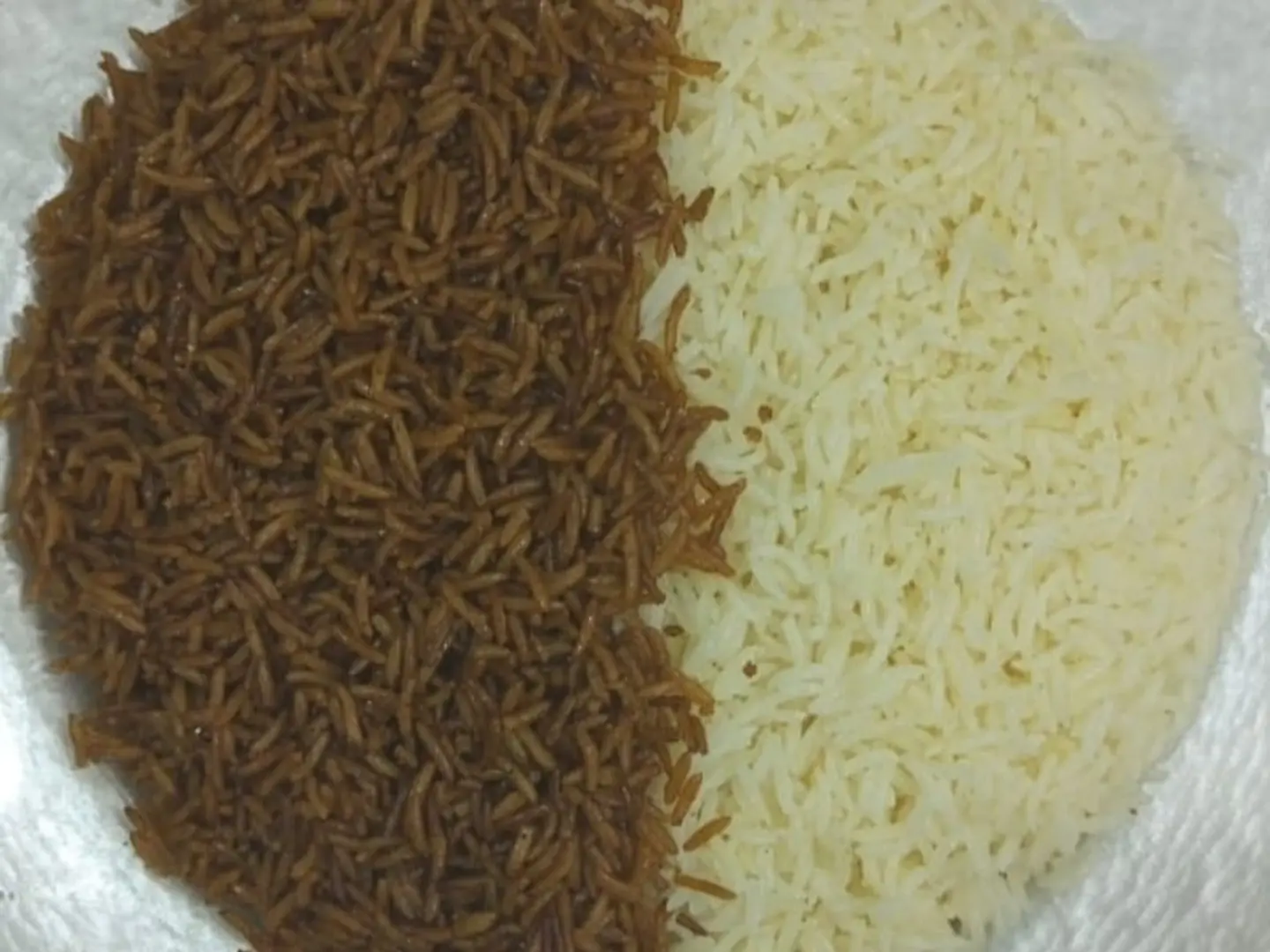 رز مشكل (ابيض و صيادية)
