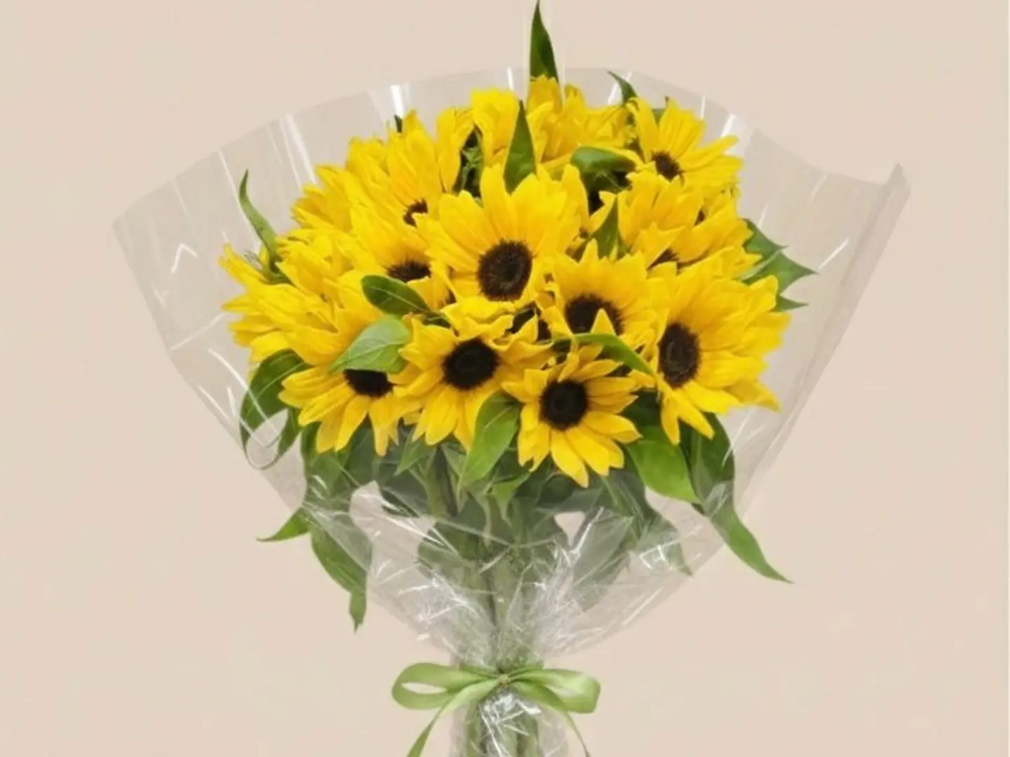 باقة اشراقة الصيف