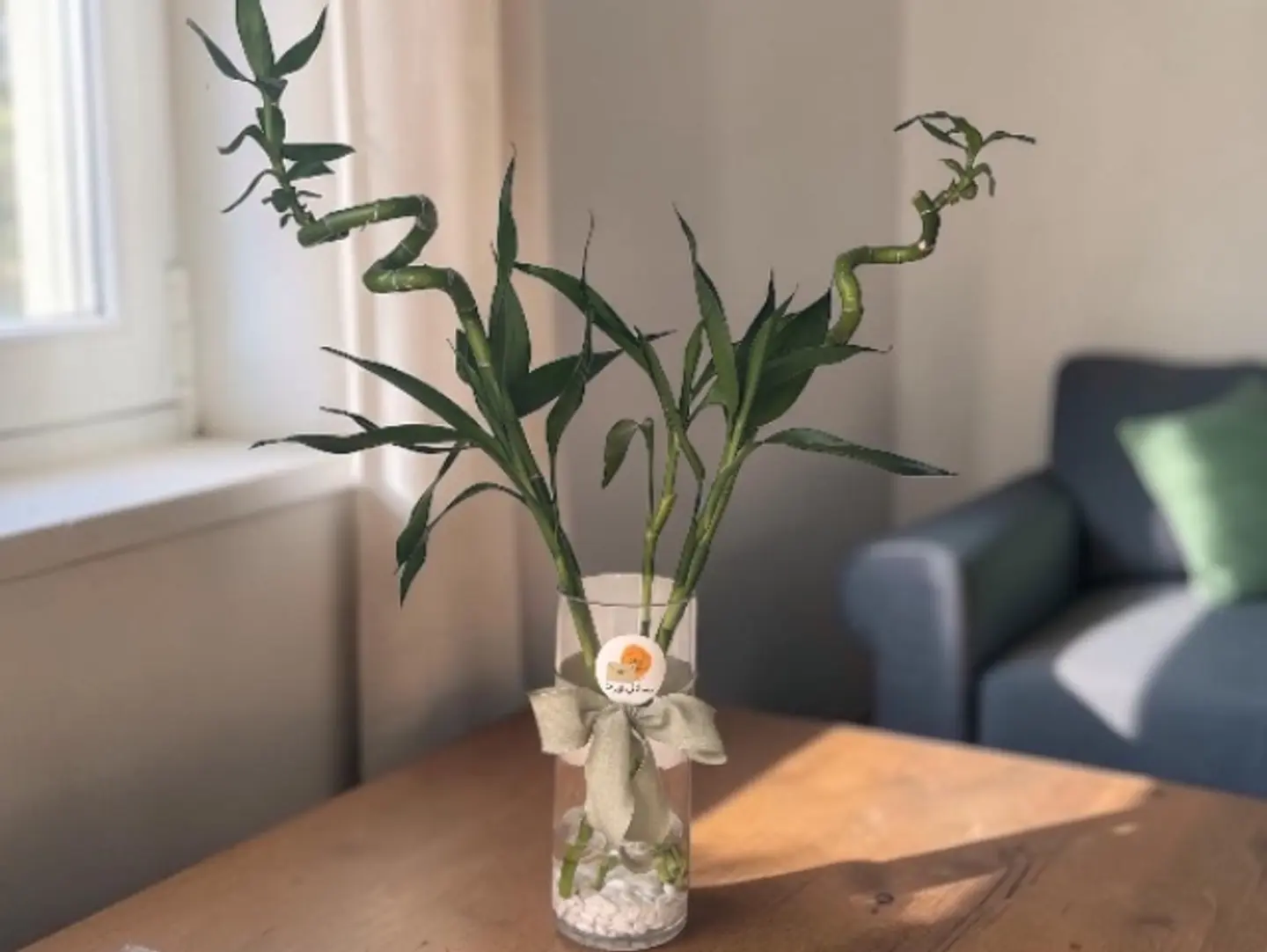 Bamboo Stems Vase
