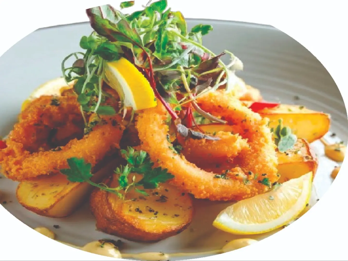 Calamari Fried