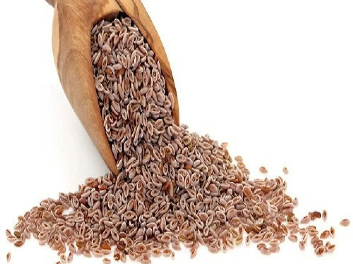 بذور القاطونة ربع كيلو