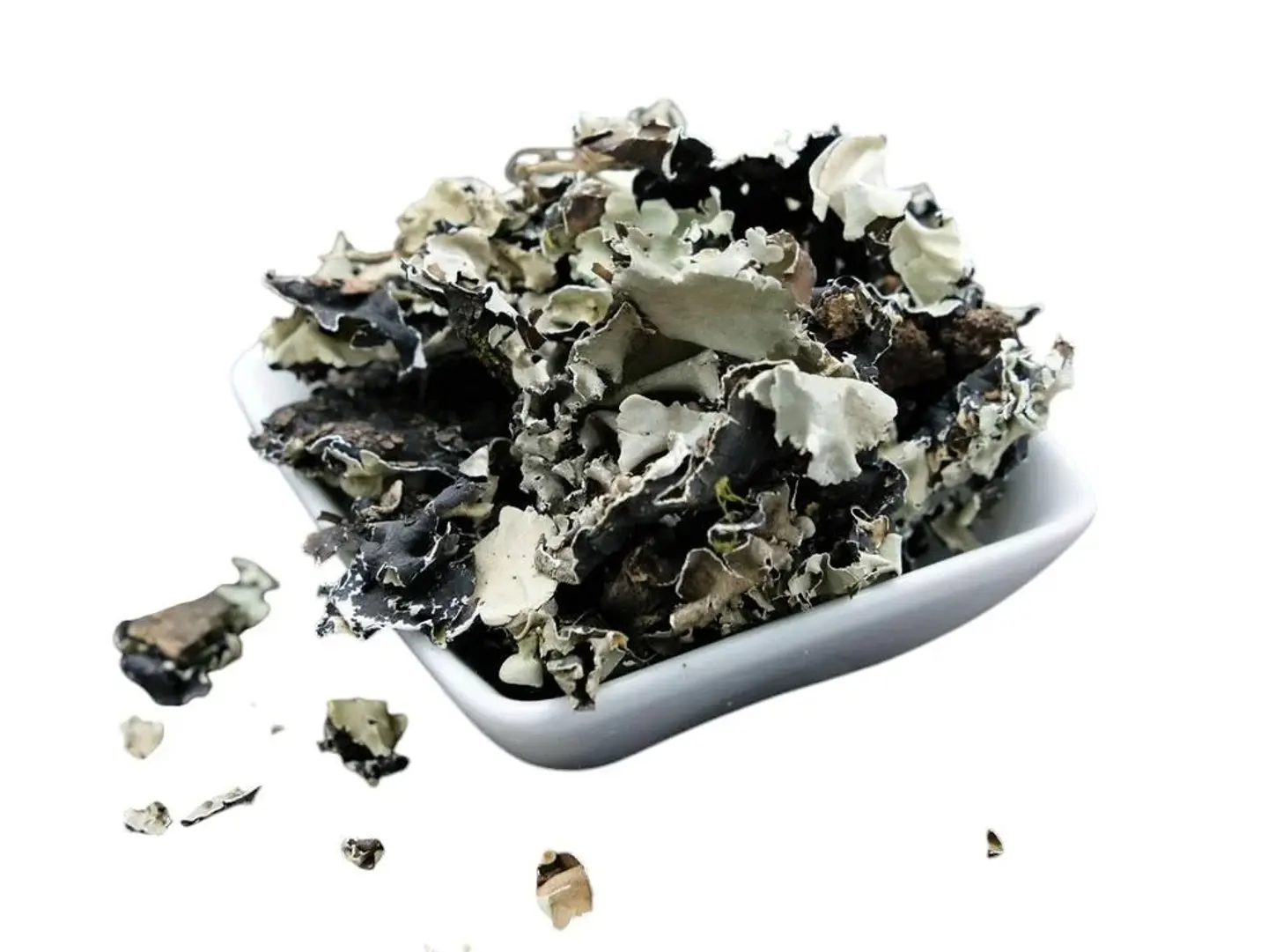 ورق شيبة ( شنة ) نيجيري