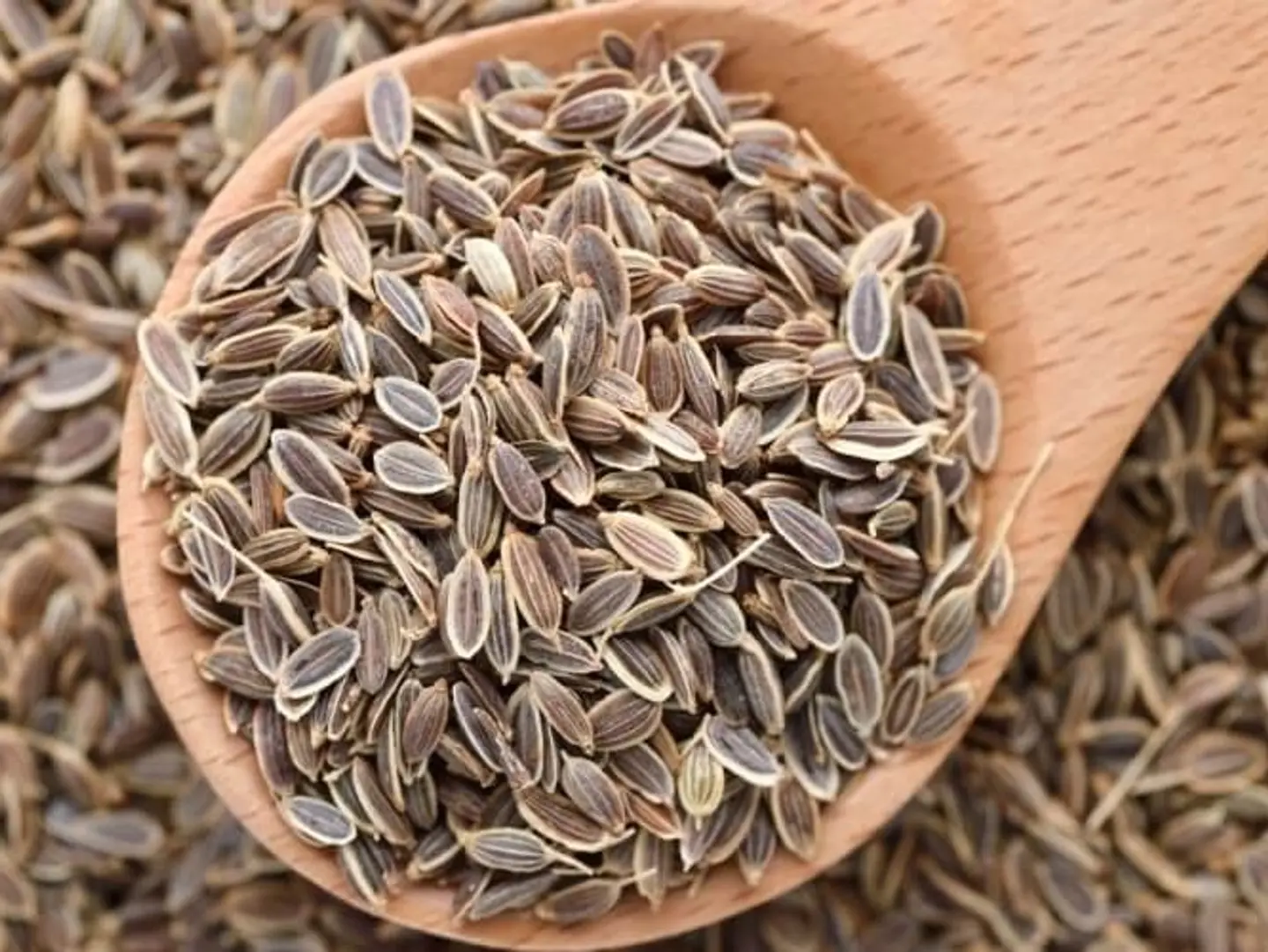 بذور الشبت ربع كيلو